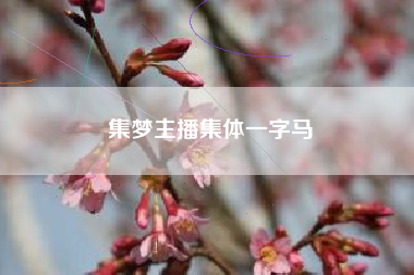 集梦主播集体一字马
