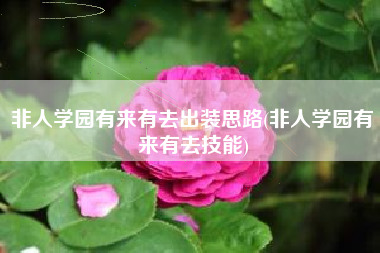非人学园有来有去出装思路(非人学园有来有去技能)