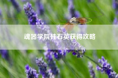 魂器学院硅石英获得攻略
