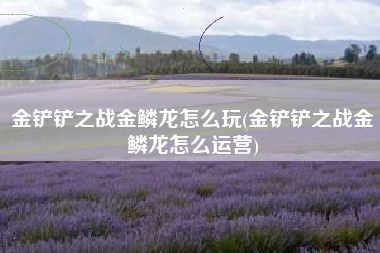 金铲铲之战金鳞龙怎么玩(金铲铲之战金鳞龙怎么运营)