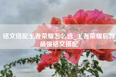 铭文搭配王者荣耀怎么选_王者荣耀后羿最强铭文搭配