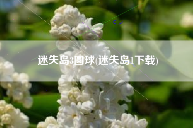 迷失岛3圆球(迷失岛1下载)