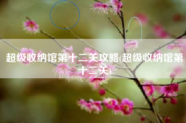 超级收纳馆第十二关攻略(超级收纳馆第十二关)