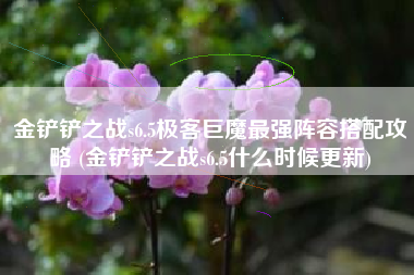 金铲铲之战s6.5极客巨魔最强阵容搭配攻略 (金铲铲之战s6.5什么时候更新)