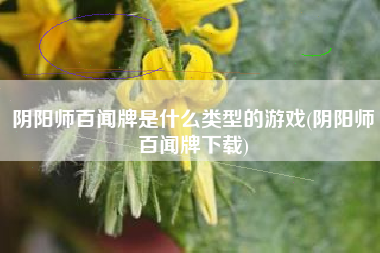 阴阳师百闻牌是什么类型的游戏(阴阳师百闻牌下载)