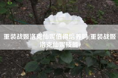 重装战姬洛克仙妮值得培养吗(重装战姬洛克仙妮技能)