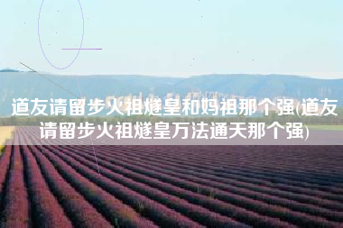道友请留步火祖燧皇和妈祖那个强(道友请留步火祖燧皇万法通天那个强)