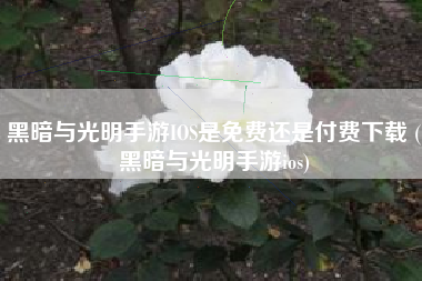 黑暗与光明手游IOS是免费还是付费下载 (黑暗与光明手游ios)