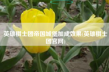 英雄棋士团帝国城堡加成效果(英雄棋士团官网)