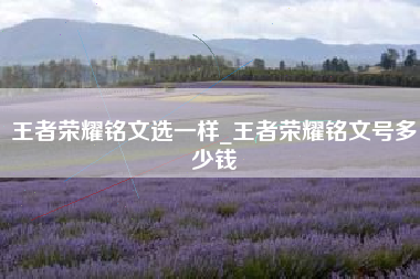 王者荣耀铭文选一样_王者荣耀铭文号多少钱