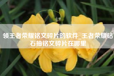 领王者荣耀铭文碎片的软件_王者荣耀钻石抽铭文碎片在哪里