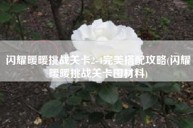 闪耀暖暖挑战关卡2-4完美搭配攻略(闪耀暖暖挑战关卡囤材料)