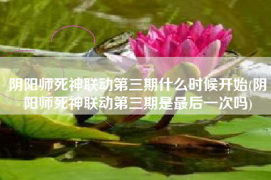 阴阳师死神联动第三期什么时候开始(阴阳师死神联动第三期是最后一次吗)