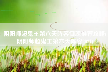 阴阳师超鬼王第六天阵容御魂推荐攻略(阴阳师超鬼王第六天阵容2021)