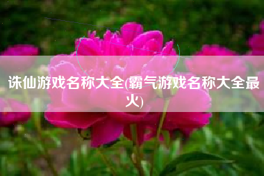 诛仙游戏名称大全(霸气游戏名称大全最火)