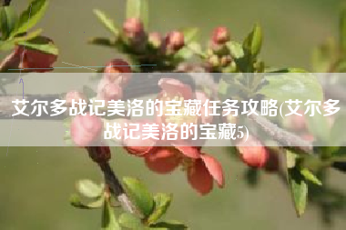 艾尔多战记美洛的宝藏任务攻略(艾尔多战记美洛的宝藏5)