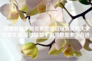 英雄联盟手游灵敏度键位设置攻略大全详情文章(英雄联盟手游灵敏度多少合适)