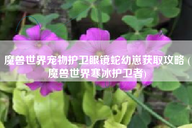 魔兽世界宠物护卫眼镜蛇幼崽获取攻略 (魔兽世界寒冰护卫者)