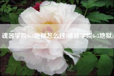 魂器学院6-5地狱怎么过(魂器学院6-5地狱)