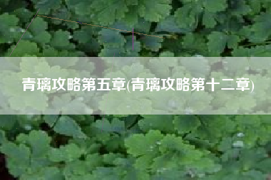 青璃攻略第五章(青璃攻略第十二章)