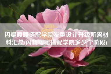 闪耀暖暖搭配学院发型设计升级所需材料汇总(闪耀暖暖搭配学院多少个阶段)