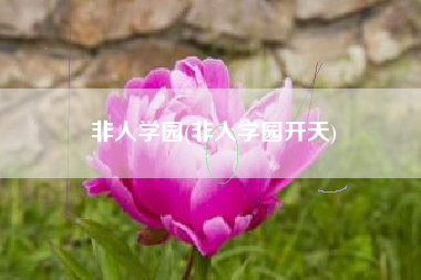非人学园(非人学园开天)