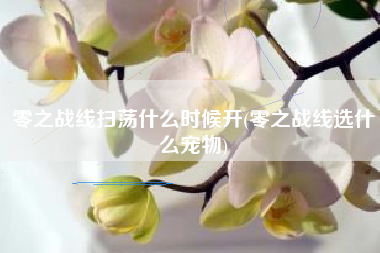 零之战线扫荡什么时候开(零之战线选什么宠物)
