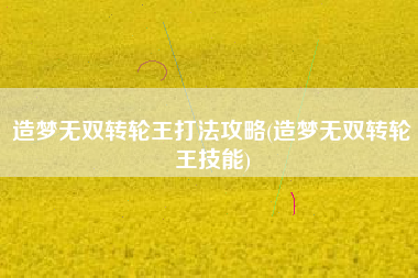 造梦无双转轮王打法攻略(造梦无双转轮王技能)