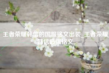 王者荣耀韩信的国服铭文出装_王者荣耀韩信最强铭文