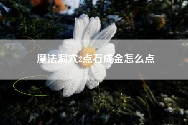 魔法洞穴2点石成金怎么点