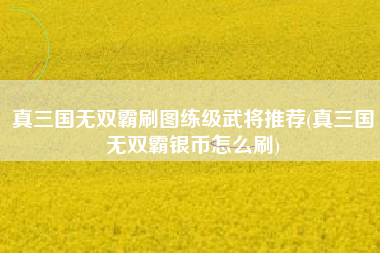 真三国无双霸刷图练级武将推荐(真三国无双霸银币怎么刷)