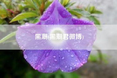 黑潮(黑潮君微博)