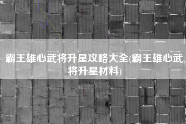 霸王雄心武将升星攻略大全(霸王雄心武将升星材料)