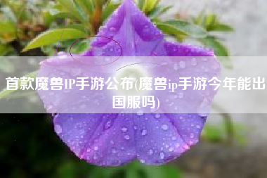 首款魔兽IP手游公布(魔兽ip手游今年能出国服吗)