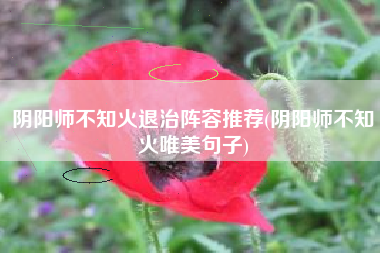 阴阳师不知火退治阵容推荐(阴阳师不知火唯美句子)