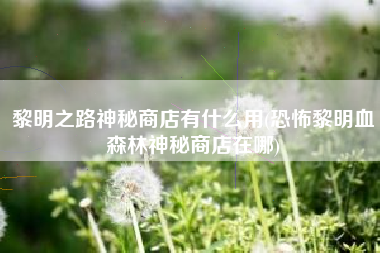 黎明之路神秘商店有什么用(恐怖黎明血森林神秘商店在哪)
