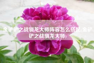 金铲铲之战驯龙大师阵容怎么搭配(金铲铲之战驯龙大师)