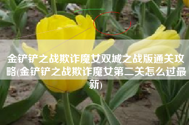 金铲铲之战欺诈魔女双城之战版通关攻略(金铲铲之战欺诈魔女第二关怎么过最新)