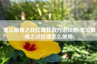鬼泣巅峰之战红魂获取方法攻略(鬼泣巅峰之战红魂怎么使用)