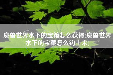 魔兽世界水下的宝箱怎么获得(魔兽世界水下的宝藏怎么钓上来)
