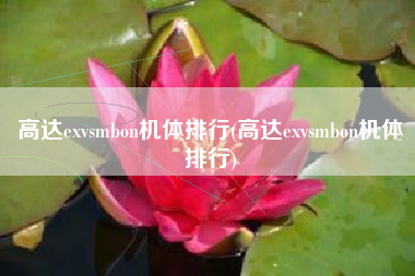 高达exvsmbon机体排行(高达exvsmbon机体排行)