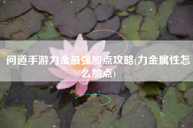 问道手游力金最强加点攻略(力金属性怎么加点)