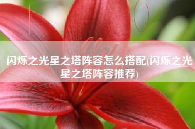 闪烁之光星之塔阵容怎么搭配(闪烁之光星之塔阵容推荐)