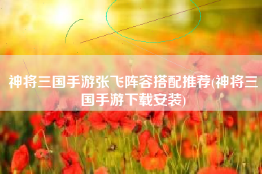 神将三国手游张飞阵容搭配推荐(神将三国手游下载安装)