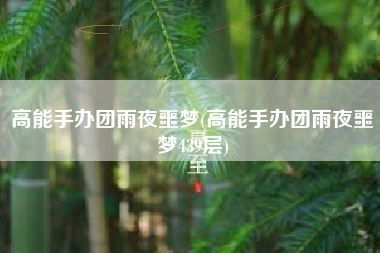 高能手办团雨夜噩梦(高能手办团雨夜噩梦439层)
