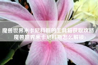 魔兽世界米卡尼科斯的工具箱获取攻略 (魔兽世界米卡尼科斯怎么解锁)