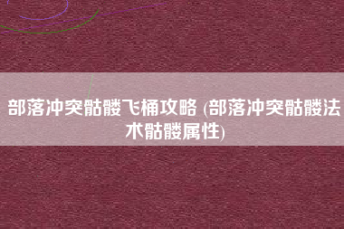 部落冲突骷髅飞桶攻略 (部落冲突骷髅法术骷髅属性)