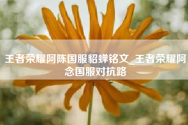 王者荣耀阿陈国服貂蝉铭文_王者荣耀阿念国服对抗路