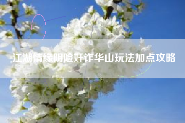 江湖情缘阴险奸诈华山玩法加点攻略