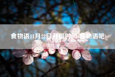食物语11月22日开服时间(食物语吧)
